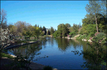 ucdavis arboretum