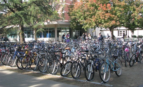 Bikes on campus at UC Davis