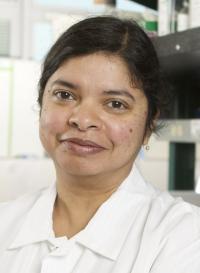 Paramita Ghosh, PhD